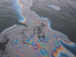 Реферат: Экологические катастрофы в мире за последние 10 лет и способы их решения. Взрыв нефтяной пла