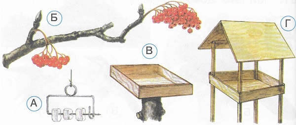 На каком рисунке показана природная птичья столовая